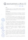 Vista preliminar de documento RA-119-2018-GOB-REG-AMAZONAS-HRVFCH/D