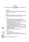 Vista preliminar de documento Anexo I Plan de Acción