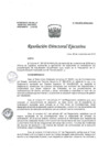 Vista preliminar de documento R.D.E. Nº 196-2019-HNAL/OEA