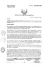 Vista preliminar de documento R.D.E. Nº 206-2019-HNAL/OEA