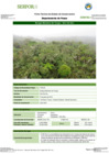 Vista preliminar de documento FT-PAS-06_BOSQUE_MONTANO_DE_YUNGA_-_SHOLLET_SURFFFF.pdf