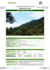 Vista preliminar de documento FT-PAS-13_BOSQUE_MONTANO_DE_YUNGA_-_EL_CISNEFFFF.pdf