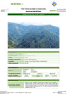 Vista preliminar de documento FT-PAS-14_BOSQUE_MONTANO_DE_YUNGA_-_UCUMARIFFFF.pdf