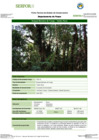 Vista preliminar de documento FT-PAS-15_BOSQUE_MONTANO_DE_YUNGA_-_TAMBO_ROCAFFFF.pdf
