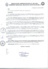 Vista preliminar de documento RA_029_2021.pdf.pdf