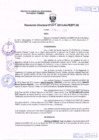 Vista preliminar de documento R.D. Nº 001.pdf