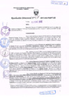 Vista preliminar de documento Resolución Nº 017.pdf