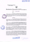Vista preliminar de documento Resolución Nº 49.pdf