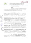 Vista preliminar de documento R.A-N°246-2019-MDCE/A