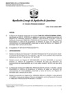 Vista preliminar de documento RCONAS-272-2021-PRODUCE-CONAS-UT.pdf
