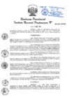 Vista preliminar de documento RP 258-2021.pdf