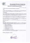 Vista preliminar de documento R.A-N°260-2019-MDCE/A