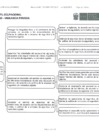 Vista preliminar de documento PO_ssvp