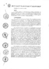 Vista preliminar de documento DIRECTIVA N° 009-2020-MPCP