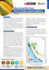 Vista preliminar de documento MAIZ DURO