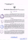 Vista preliminar de documento Resolución Nº 055.pdf