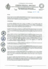 Vista preliminar de documento REA 253.pdf