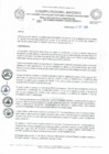 Vista preliminar de documento REA 262.pdf