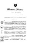 Vista preliminar de documento RD N° 310-2021.pdf