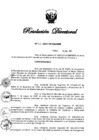 Vista preliminar de documento RD N° 317-2021.pdf