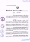 Vista preliminar de documento R.D. Nº 107.pdf