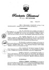 Vista preliminar de documento RD N° 321-2021.pdf
