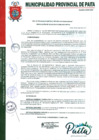 Vista preliminar de documento 294-2021-MPP/A