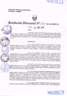 Vista preliminar de documento R.D. Nº 132.pdf