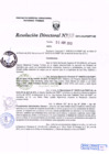 Vista preliminar de documento R.D. Nº 133.pdf