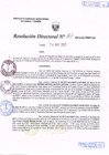 Vista preliminar de documento R.D. Nº 161.pdf