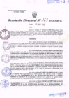Vista preliminar de documento R.D. Nº 163.pdf