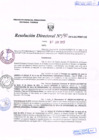 Vista preliminar de documento R.D. Nº 190.pdf