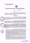 Vista preliminar de documento R.D. Nº 196.pdf