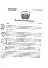 Vista preliminar de documento R.D. N° 38-2018-HNAL-DG