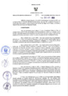 Vista preliminar de documento RER N°205-2021-GRP
