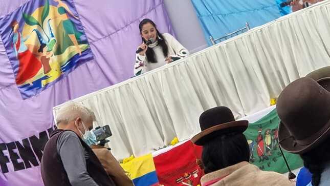 Viceministra de Seguridad Pública del Mininter expuso en cumbre internacional que reúne a mujeres de pueblos indígenas u originarios.