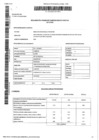 Vista preliminar de documento DIRECTOR PLANEAMIENTO Y PRESUPUESTO 2019-2021 -CABREJOS QUIROZ LETICIA AZUCENA