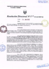 Vista preliminar de documento R.D. Nº 203.pdf