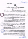 Vista preliminar de documento R.D. Nº 220.pdf