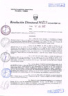 Vista preliminar de documento R.D. Nº 223.pdf