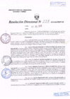Vista preliminar de documento R.D. Nº 228.pdf