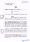 Vista preliminar de documento R.D. Nº 229.pdf