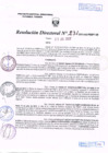 Vista preliminar de documento R.D. Nº 231.pdf