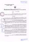 Vista preliminar de documento R.D. Nº 233.pdf