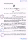 Vista preliminar de documento R.D. Nº 234.pdf