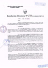 Vista preliminar de documento R.D. Nº 238.pdf