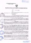 Vista preliminar de documento R.D. Nº 243.pdf