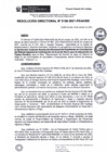 Vista preliminar de documento rd156_2021.pdf