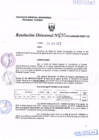 Vista preliminar de documento R.D. Nº 255.pdf