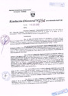 Vista preliminar de documento R.D. Nº 256.pdf